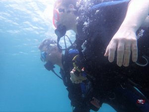 Mergulho na Baia de Todos os Santos com LuizGuia