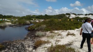 Parque das Dunas com a Escola Girassol