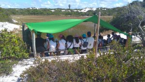 Parque das Dunas Turma 5º Ano Escola Arco-iris