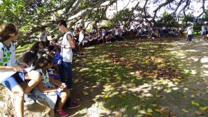 Passeio a Praia do Forte do Colegio Interação Feira de Santana-Ba