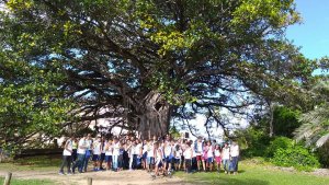 Passeio a Praia do Forte do Colegio Interação Feira de Santana-Ba