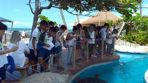 Passeio a Praia do Forte do Colegio Interação Feira de Santana-Ba