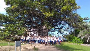 Passeio a Praia do Forte do Colegio Interação Feira de Santana-Ba