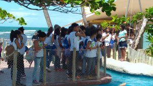 Passeio a Praia do Forte do Colegio Interação Feira de Santana-Ba