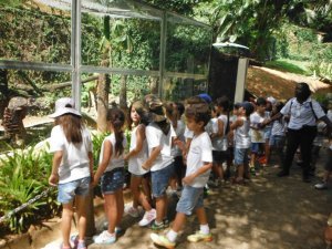 Passeio ao Zoologico com Escola Girassol 120 alunos.