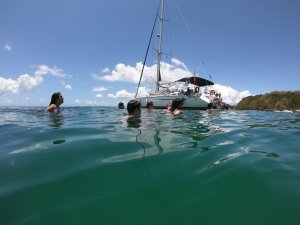 Passeio de Veleiro Oceanico Alto Padrão