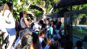 Passeio Pedagogico ao Projeto Mamiferos Aquaticos com Luiz Guia.. Escola Interacao