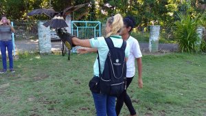 Passeio Pedagogico ao Projeto Mamiferos Aquaticos com Luiz Guia.. Escola Interacao