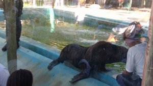 Passeio Pedagogico ao Projeto Mamiferos Aquaticos com Luiz Guia.. Escola Interacao