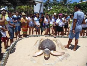 Praia do Forte e Balada Noturna com Grupo de Cabrobó