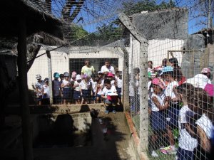 Escola Arco-Iris Projeto Mamiferos Aquaticos Salvador-BA