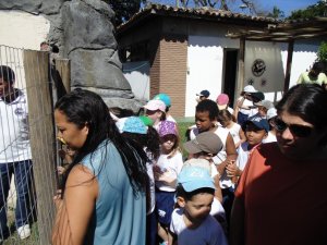 Escola Arco-Iris Projeto Mamiferos Aquaticos Salvador-BA