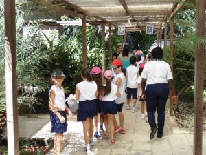 Escola Arco-Iris Projeto Mamiferos Aquaticos Salvador-BA