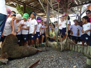 Escola Arco-Iris Projeto Mamiferos Aquaticos Salvador-BA