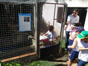 Escola Arco-Iris Projeto Mamiferos Aquaticos Salvador-BA