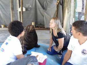 Escola Arco-Iris Projeto Mamiferos Aquaticos Salvador-BA