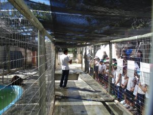 Escola Arco-Iris Projeto Mamiferos Aquaticos Salvador-BA