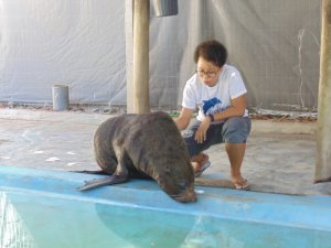 Escola Arco-Iris Projeto Mamiferos Aquaticos Salvador-BA