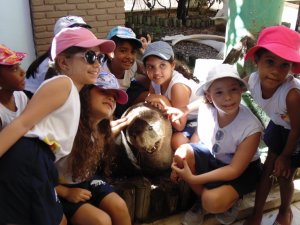 Escola Arco-Iris Projeto Mamiferos Aquaticos Salvador-BA