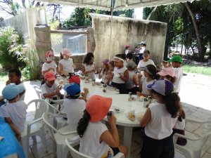 Escola Arco-Iris Projeto Mamiferos Aquaticos Salvador-BA