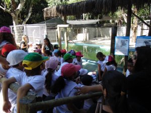 Escola Arco-Iris Projeto Mamiferos Aquaticos Salvador-BA