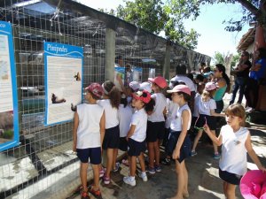 Escola Arco-Iris Projeto Mamiferos Aquaticos Salvador-BA