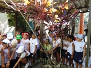 Escola Arco-Iris Projeto Mamiferos Aquaticos Salvador-BA