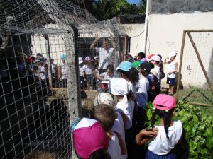 Escola Arco-Iris Projeto Mamiferos Aquaticos Salvador-BA