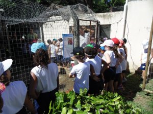 Escola Arco-Iris Projeto Mamiferos Aquaticos Salvador-BA