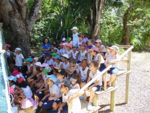 Escola Arco-Iris Projeto Mamiferos Aquaticos Salvador-BA