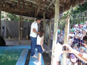 Escola Arco-Iris Projeto Mamiferos Aquaticos Salvador-BA