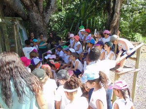 Escola Arco-Iris Projeto Mamiferos Aquaticos Salvador-BA