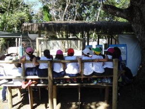 Escola Arco-Iris Projeto Mamiferos Aquaticos Salvador-BA