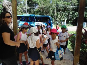 Escola Arco-Iris Projeto Mamiferos Aquaticos Salvador-BA