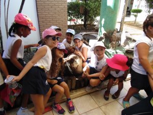 Escola Arco-Iris Projeto Mamiferos Aquaticos Salvador-BA