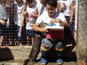 Escola Arco-Iris Projeto Mamiferos Aquaticos Salvador-BA