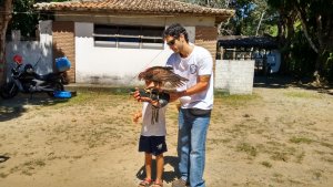 Escola Arco-Iris Projeto Mamiferos Aquaticos Salvador-BA