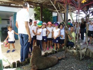 Escola Arco-Iris Projeto Mamiferos Aquaticos Salvador-BA