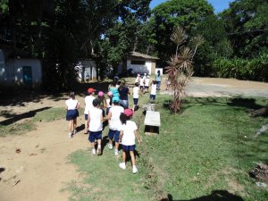 Escola Arco-Iris Projeto Mamiferos Aquaticos Salvador-BA