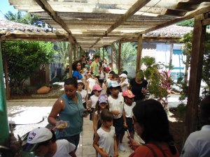 Escola Arco-Iris Projeto Mamiferos Aquaticos Salvador-BA