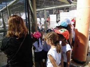 Escola Arco-Iris Projeto Mamiferos Aquaticos Salvador-BA