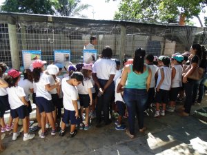 Escola Arco-Iris Projeto Mamiferos Aquaticos Salvador-BA