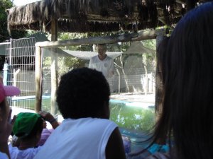 Escola Arco-Iris Projeto Mamiferos Aquaticos Salvador-BA