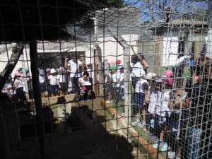 Escola Arco-Iris Projeto Mamiferos Aquaticos Salvador-BA