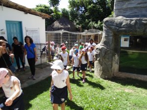 Escola Arco-Iris Projeto Mamiferos Aquaticos Salvador-BA