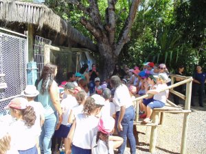 Escola Arco-Iris Projeto Mamiferos Aquaticos Salvador-BA