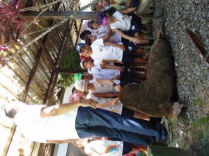 Escola Arco-Iris Projeto Mamiferos Aquaticos Salvador-BA