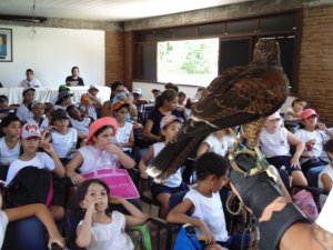 Escola Arco-Iris Projeto Mamiferos Aquaticos Salvador-BA