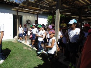 Escola Arco-Iris Projeto Mamiferos Aquaticos Salvador-BA