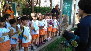 Projeto Mamiferos Aquaticos Escola Arco Iris